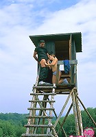 Busty teenie gets fucked outdoor